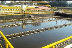 江西棉纺织印染工业废水黄香蕉网